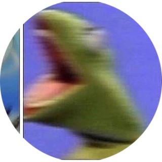 kermitthefuckingfrog avatar