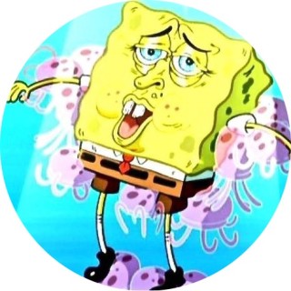 notsofunnymemes22 avatar