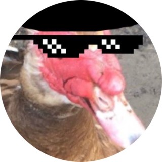 chickennuggets64 avatar