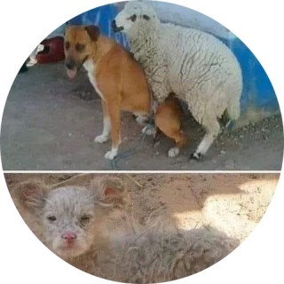 steviegonzalez89 avatar