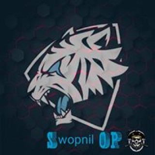 swapnilpaudel7 avatar