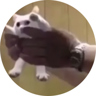 i_steal_memes_like_u avatar