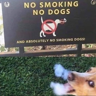 the_meme_queen.1 avatar