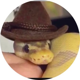 funnymemesuwu avatar