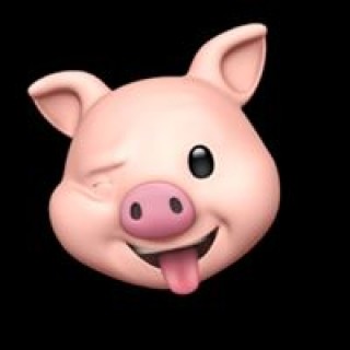 Lajavenodom33 avatar