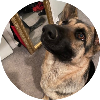 XXXDemonKingXXX avatar