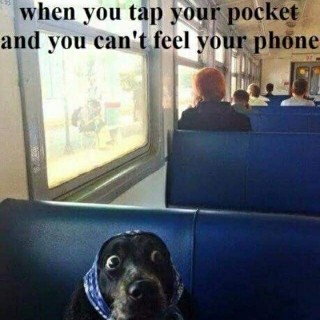 candyland12345 avatar