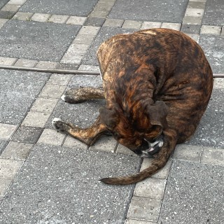 sticky_banana avatar