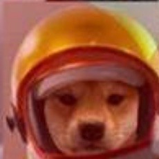 fart_mcmuffen avatar