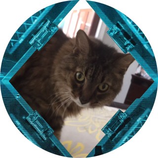 tntwhatwhatahh avatar