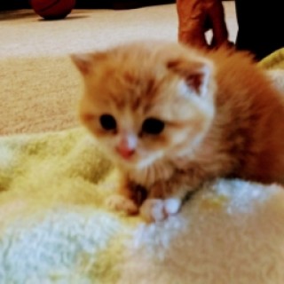 PastUmbrella228 avatar