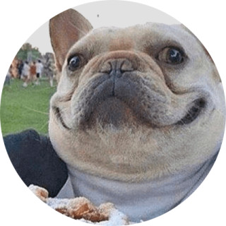 thaboringpug avatar