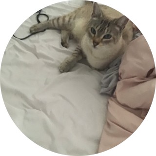 ytholikescatz avatar