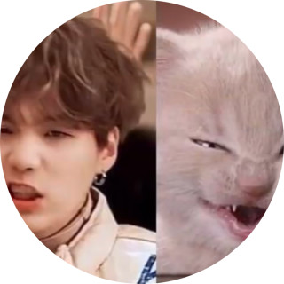 kpopmemeprincess avatar