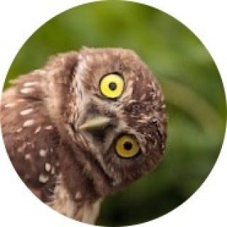 crazy_cat_lady23 avatar