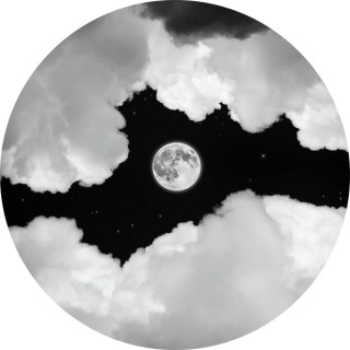 soggywaffles008 avatar