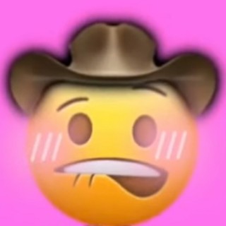 thememedealer05 avatar