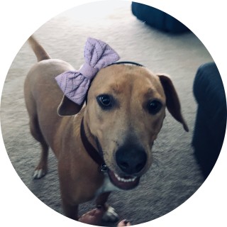 sierralynn21475 avatar