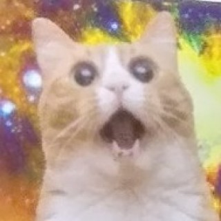 Space_Kitten avatar