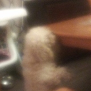 kiler_memestar avatar