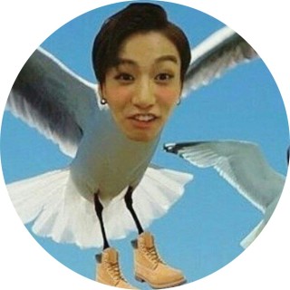 _justin_seagulll_ avatar
