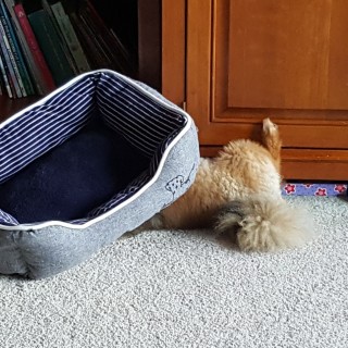 CharlieBaxter avatar