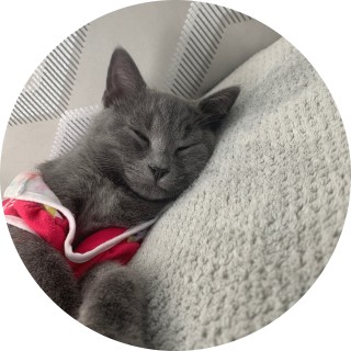 tuckerdrangon21 avatar