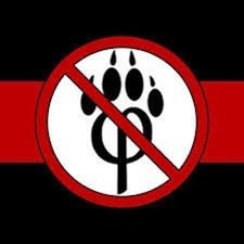 AntiFurryPropaganda avatar