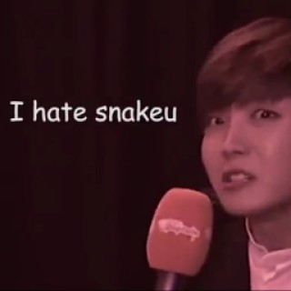 IHateSnakeu44 avatar