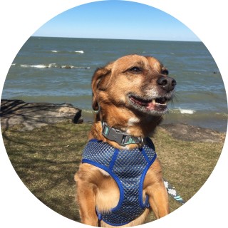 toothpasteinmycrocs avatar