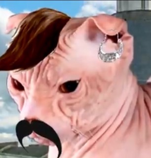 adrianflorese avatar