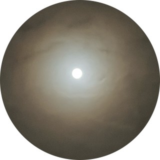 sensei_saitama avatar