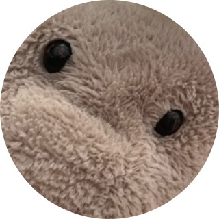 pew_pew_rifle avatar