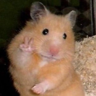 HamsterTheMemester avatar