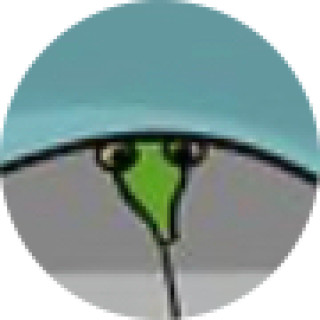 worms_on_strings avatar