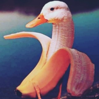 DuckBanana avatar