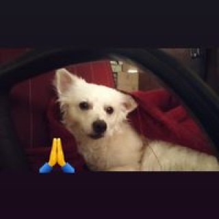 nitinpohare26 avatar