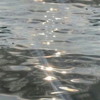 sneakymemetoads avatar