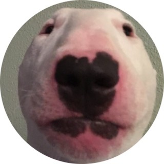 joel_de_beest avatar