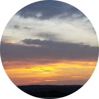 meeplovesmemes avatar