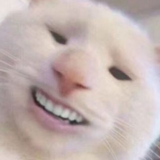 milkteaseventypercentsugar avatar