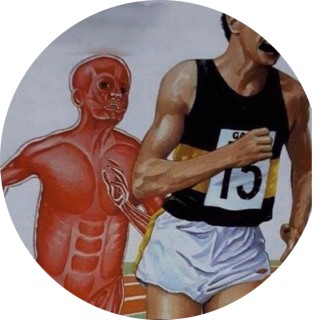 b0necollector89 avatar