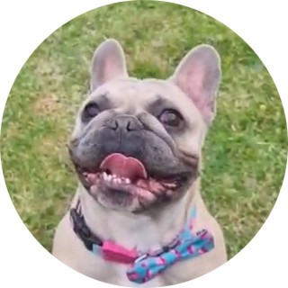 nala_and_Buddy avatar