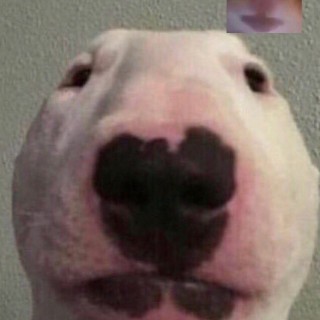 Hot_Bread_Memes avatar