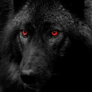 1234567891013 avatar