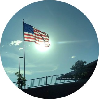 Your.daily.MEMES avatar