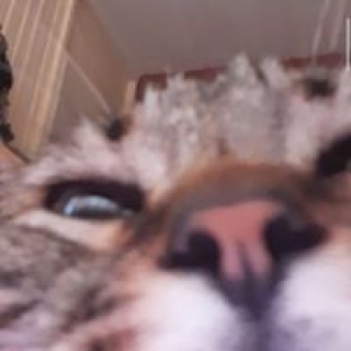 helenafurdek2602 avatar