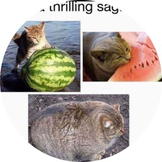 interest memes