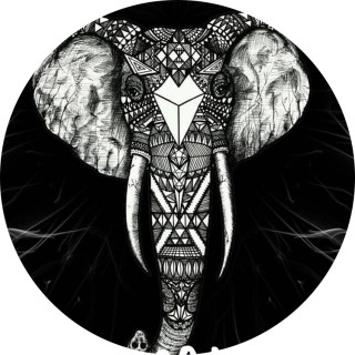 destiny_mayo1113 avatar