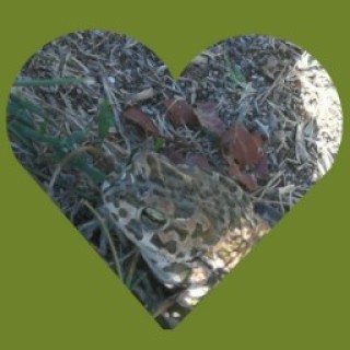 ConstantinMMXII avatar